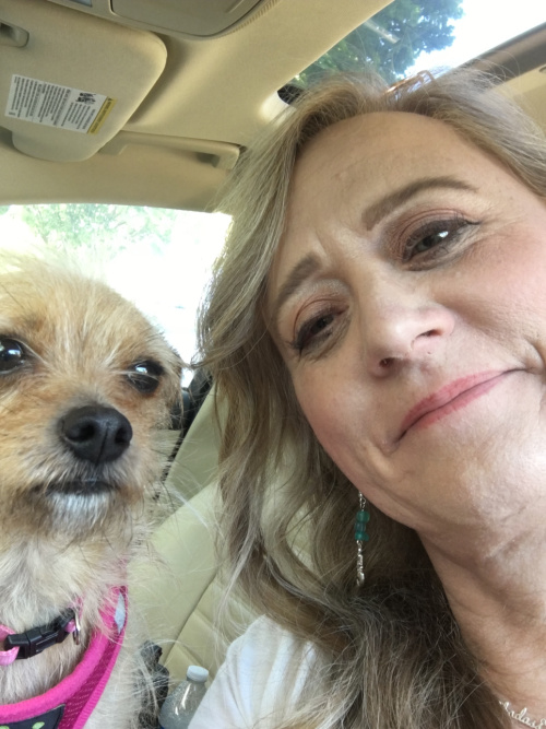 A small blonde dog is next her a woman with blonde hair. They are facing forward sitting in a car. The dog has a pink harness.